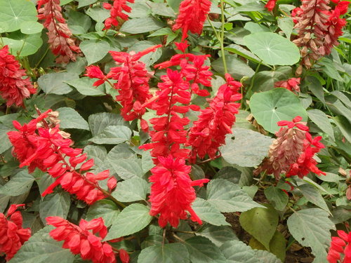 Jardín Botánico.